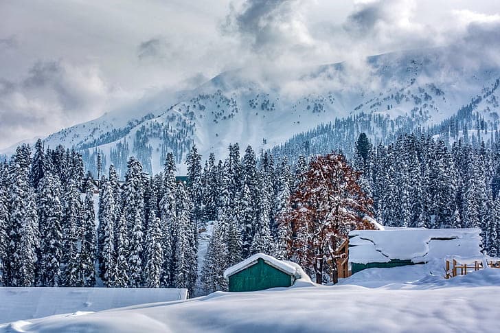 Shogran